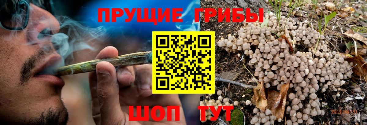 Бахчисарай  Галлюциногенные грибы мицелий  Вход с VPN 